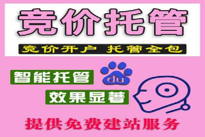 解析某某SEM服务公司如何通过数据分析优化广告效果